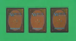 1995 Magic the Gathering - Homelands Complete Set ~ NM / LP 140 MTG Cards - Image 3