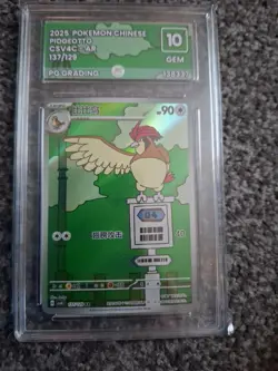 PG Grading 10 TCG Pokemon Pidgeotto 137/129 CSV4C Art Rare Holo Chinese Not PSA - Image 1