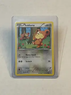 Pokemon TCG Teddiursa RC15/RC25 Legendary Treasures Radiant Collection Holo LP - Image 1