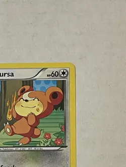 Pokemon TCG Teddiursa RC15/RC25 Legendary Treasures Radiant Collection Holo LP - Image 5