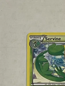 Pokemon TCG Servine RC2/RC25 Legendary Treasures Radiant Collection Holo 2013 LP - Image 4