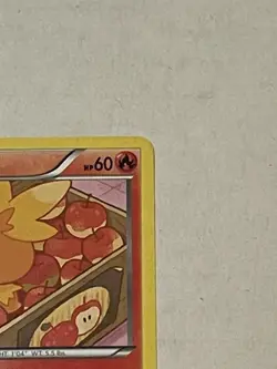 Pokemon TCG Torchic RC5/RC25 Legendary Treasures Radiant Collection Holo 2013 LP - Image 5