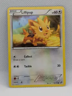 LILLIPUP 81/114 C BLACK & WHITE POKEMON DMG LILLIPUP - Image 1