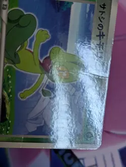Ash's Treecko 036/ADV-P Promo Shogakukan Elementary Japanese Pokemon Card - Image 3