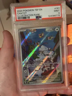 Pokemon TCG Chatot Illustration Rare 181/162 Mint 9 PSA Graded Temporal Forces - Image 1