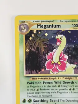 Meganium 11/111 Neo Genesis Unlimited Holo Rare WoTC Pokemon 2000 HP - Image 3