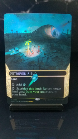 Petrified Field (0032) (Borderless) Foil x1 #32 - Edge of Eternities (EOE) - Image 1