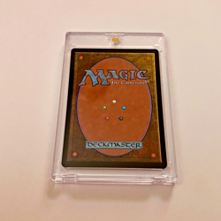 Helga, Skittish Seer (Showcase - Foil) Bloomburrow MTG - Image 2
