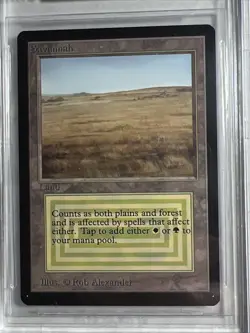 MTG BETA Beta Savannah BGS 8 NM-MT (9.5 centering, 9 corners, edges) 1993 - Image 3