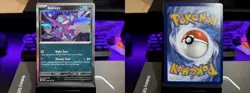 SABLEYE RARE HOLO 136/193 PALDEA EVOLVED POKEMON NM - Image 3
