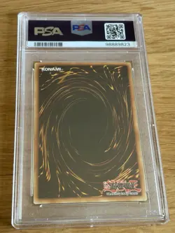 Elemental HERO Voltic PSA 8 PP02-EN014 2008 Yu-Gi-Oh! Secret Rare - Image 2