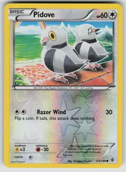 Pidove 123/149 Common Boundaries Crossed Pokemon Reverse Holo Near Mint - Image 1