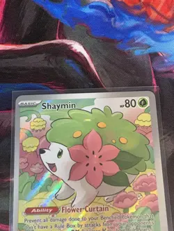 Pokemon Shaymin 185/182 Sv10: Destined Rivals Illustration Rare NM - Image 3