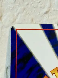 [NM] SWIRL Houndoom Pokemon Card Japanese No.229 Neo Revelation Holo - Image 3