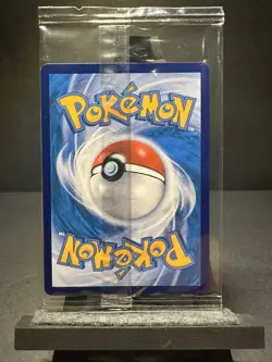 Rowlet 019/30th-p 30th Anniversary First Partner Promo Pokemon S-Chinese SEALED - Image 2