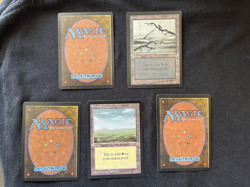 Magic the Gathering All Five Basic Lands BETA Never Played h - Image 2