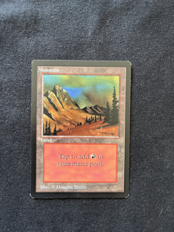 Magic the Gathering All Five Basic Lands BETA Never Played h - Image 5