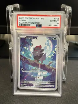 2025 Pokemon Zorua White Flare Illustration Rare English PSA 10 Gem Mint - Image 1