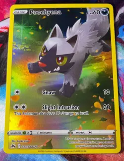 2023 Pokemon Sword & Shield Crown Zenith Poochyena #GG33/GG70 Galarian Gallery - Image 1