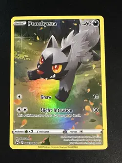 Poochyena GG33/GG70 Pokemon Crown Zenith Galarian Gallery Full Art Holo NM - Image 1