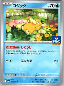Psyduck 262/SV-P Japanese Promo - Gym Card - Pokemon - NM - Image 1