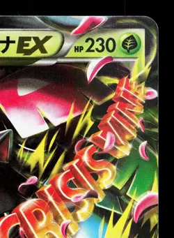 M Venusaur EX 002/060 Collection X LP Unlimited Japanese Pokemon Card TCG - Image 3