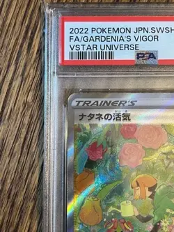 Pokemon TCG Japanese PSA 10 Gardenia's Vigor VSTAR Universe s12a 243/172 card - Image 4
