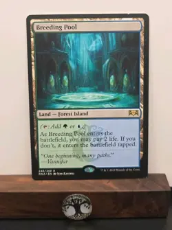 Breeding Pool Ravnica Allegiance Regular Land Forest Island #246 English NM New - Image 1