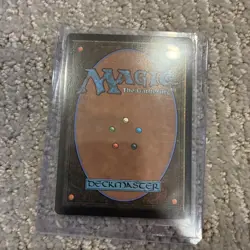 The Wandering Minstrel (Borderless) (Surge Foil) -Foil Near Mint MTG - Image 2
