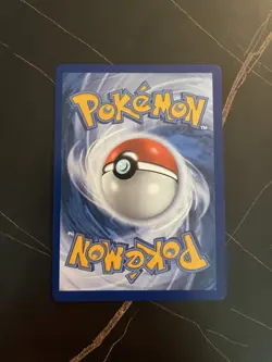 Pokemon TCG Mega Gengar EX 073 Black Star Promo Mega Moonlit Tin - Image 2