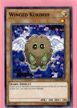 Winged Kuriboh | LED6-EN017 | Yu-Gi-Oh! TCG - Image 1