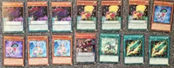 Yu-Gi-Oh! TCG Windwitch x Majespecter 55 card deck (see description for details) - Image 3
