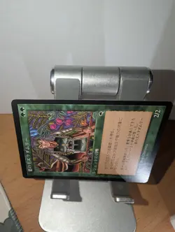 Eladamri, Lord of Leaves Japanese MTG LP - Image 3