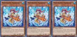 3x Marincess Mandarin | MP20-EN147 | Common | 1st Ed | NM | YuGiOh - Image 1