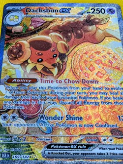 Dachsbun Ex 169/142 - Stellar Crown Pokemon TCG Special Illustration Rare NM - Image 3