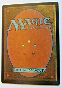 Magic The Gathering - Plains Card (APAC Blue) - Promotional - Image 2