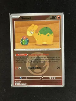Pokemon - Numel 027/217 - Ascended Heroes Reverse Holo - NM - Image 1