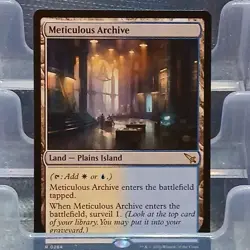 Wizards of the Coast MTG Meticulous Archive Land Rare 0264 MKM English - Image 1