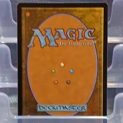 Wizards of the Coast MTG Meticulous Archive Land Rare 0264 MKM English - Image 2