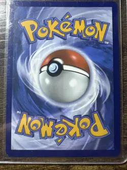 Spheal 199/191 Illustration Rare, Surging Sparks, Full Art Holo, Pokemon TCG, NM - Image 2
