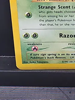 Pokemon TCG - Ivysaur - Southern Islands Promos - VLP/NM - Image 4