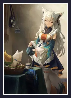 VTuber Hololive Fubuki Shirakami doujin Card Sleeve Protector - Image 1