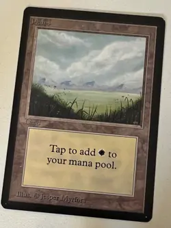 Magic the Gathering MTG Beta Plains v.2 (NO TREES) NM- (Beta Bob) - Image 1
