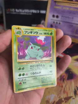 Pokemon Karte Card Ivysaur Bisaknosp Intro Pack Bulbasaur Wotc japanese PL - Image 4