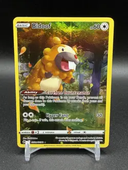 Bidoof GG29/GG70 Holo Ultra Rare SWSH: Crown Zenith: Galarian Gallery NM Pokemon - Image 1