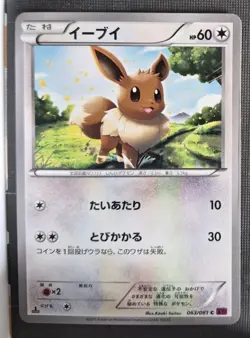 Pokemon Card 1st ED Japanese Eevee Bandit Ring 063/081 XY7 LIGHTLY PLAYED TCG!!! - Image 1