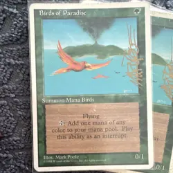 MTG Birds of Paradise x4 Playset 1995 ***Signed Mark Poole English - Image 2