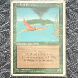 MTG Birds of Paradise x4 Playset 1995 ***Signed Mark Poole English - Image 3