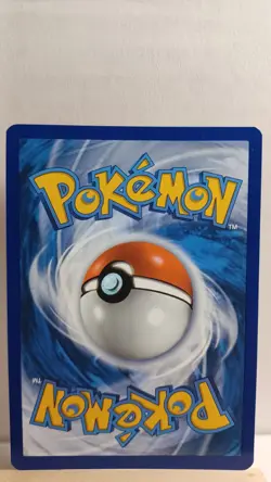 Phanpy [LP] - Pokemon TCG Sword and Shield Promos SWSH117 [Promo] - Image 2