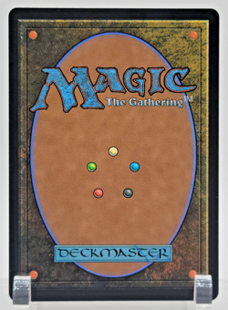 Magic The Gathering Tidus Yuna's Guardian - Extended Art #FIC-187 M 0187 - Image 2